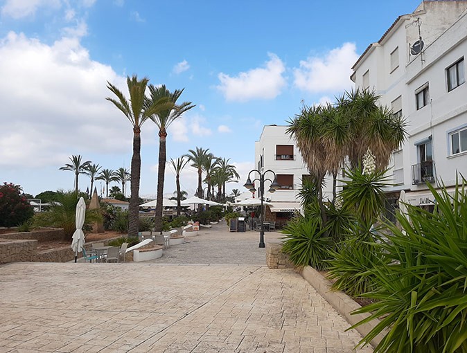 A paved path with palm trees and white buildings on one side