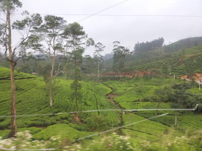 Why get a window seat - famous train ride in Sri Lanka Why get a window seat - famous train ride in Sri Lanka
