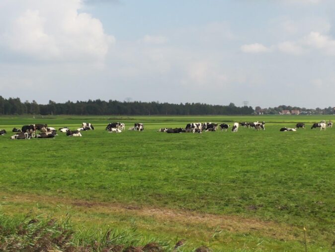 Traveling around Holland