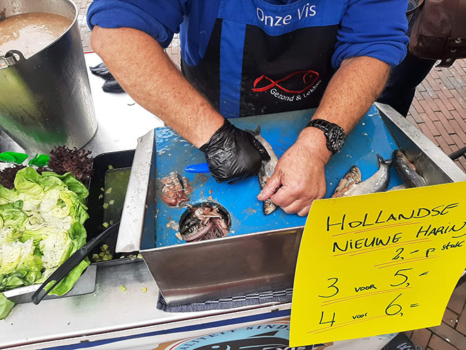 Raw herring sold at the Leiden market Raw herring sold at the Leiden market
