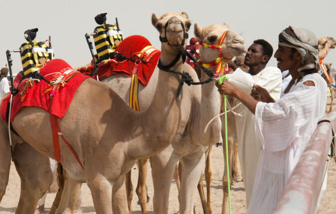 Fun facts about Dubai - Camel racing Dubai Fun facts about Dubai - Camel racing Dubai