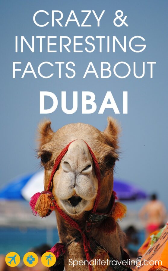 Facts about Dubai: some interesting, some crazy and some shocking things to know about Dubai! interesting facts about Dubai