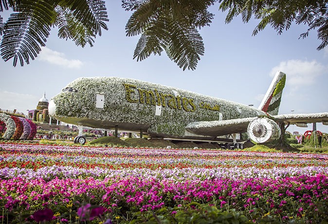 Dubai's Miracle Garden Dubai's Miracle Garden