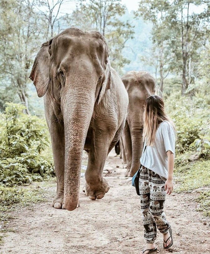Travel Tip: Chiang Mai, Thailand Travel Tip: Chiang Mai, Thailand