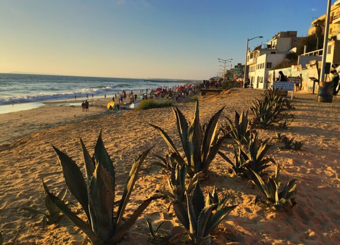 What to do in Tijuana What to do in Tijuana