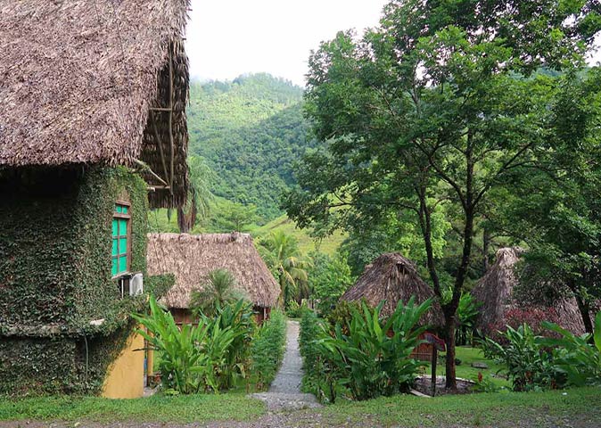 straw huts surrounded by lush greenery