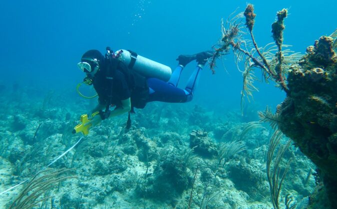 volunteer abroad: Bahamas coral reef conservation volunteer abroad: Bahamas coral reef conservation