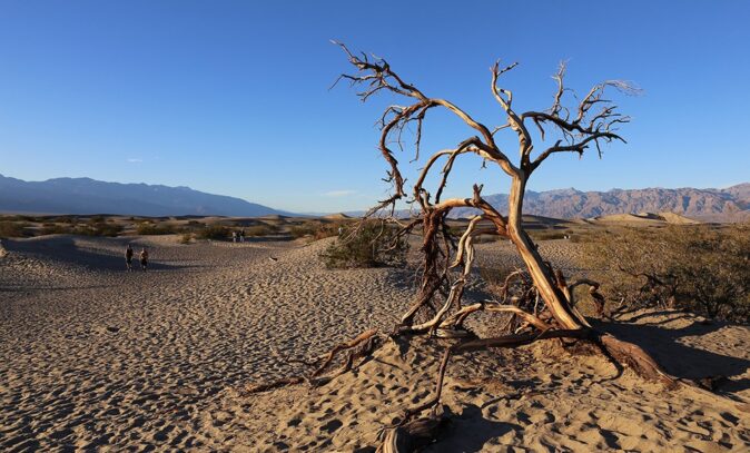 Death Valley National Park