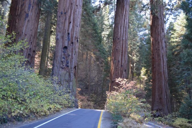 Best camping spots in California: Sequoia National Park