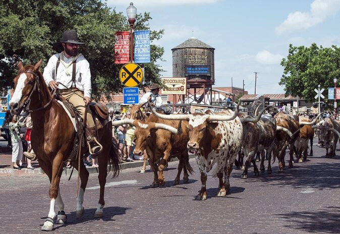 Texas: one of the states to visit in the USA