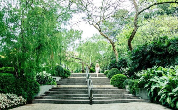 Things to do in Singapore: Singapore Botanic Gardens Things to do in Singapore: The Singapore Botanic Gardens