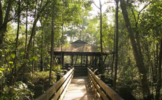 What to do in Singapore: Sungei Buloh Wetland Reserve What to do in Singapore: Sungei Buloh Wetland Reserve