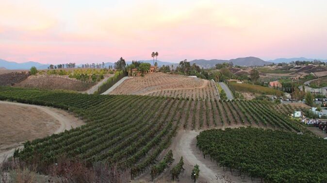 day trip from San Diego: Temecula valley day trip from San Diego: Temecula valley