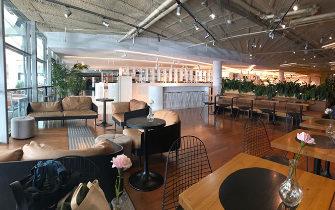 working from the library in Amsterdam