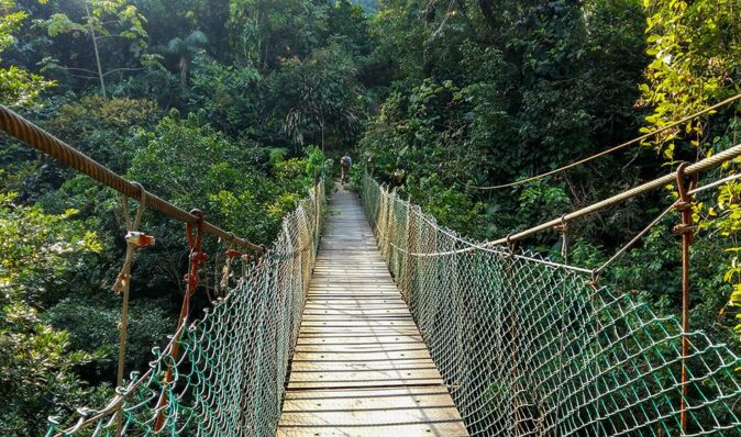 a bridge at the lost city trek, Colombia a bridge at the lost city trek, Colombia