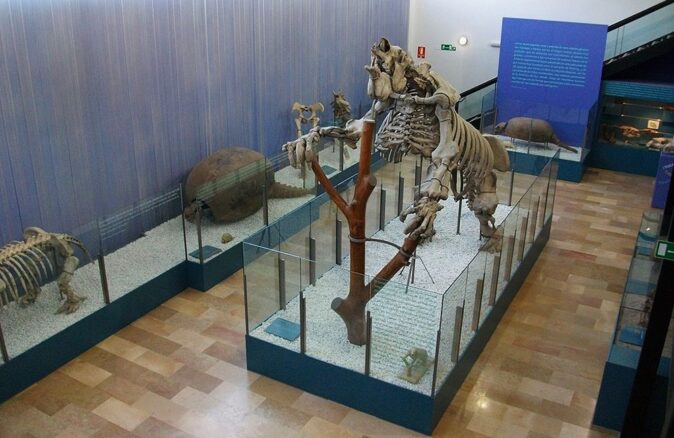 Things to do in Valencia with kids: Natural Science Museum