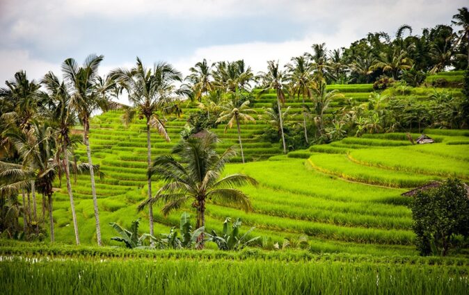 Why digital nomads love Bali Why digital nomads love Bali