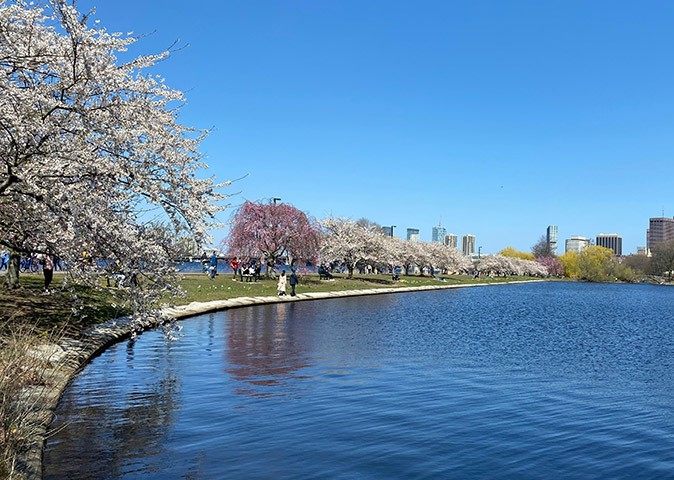 A body of water with a tree lined boardwalk on one side and a blue sky