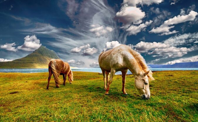 About Iceland a why you should visit Iceland About Iceland a why you should visit Iceland