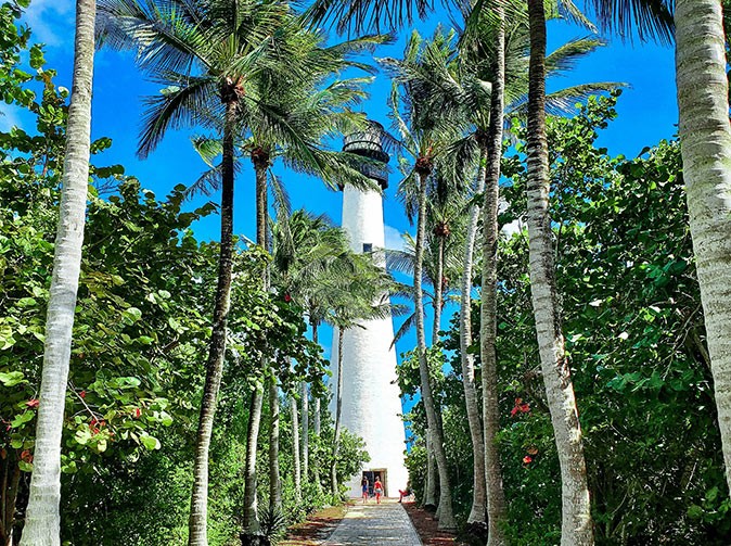 A cool spot to visit by boat in Miami A tall white lighthouse in the background with 2 rows of palmtrees in front of it