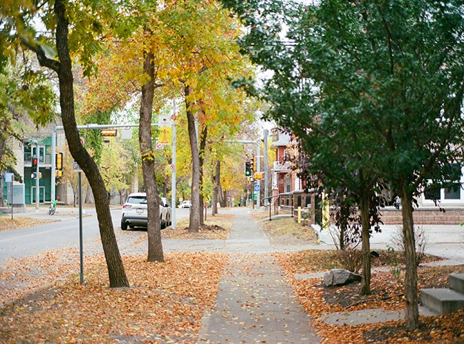 Life in Edmonton is relatively safe A gray sidewalk with many brown leaves on the floor around narrow trees