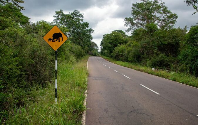 Renting a car in Sri Lanka - things to know Renting a car in Sri Lanka - things to know