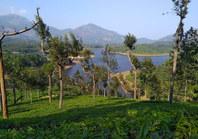Why visit Kerala? Because of its natural beauty