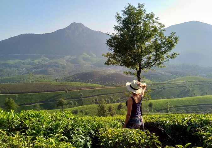 Highlights of Kerala: visiting a tea plantation Highlights of Kerala: visiting a tea plantation