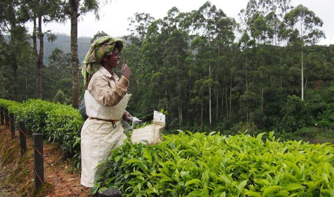 Why visit Kerala? There aren't too many tourists