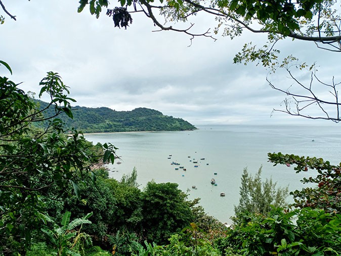 lush forest in the foreground looking out towards the sea with several boats and a sandy beach in the background