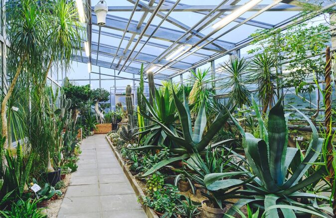 Kaunas botanical garden Kaunas botanical garden