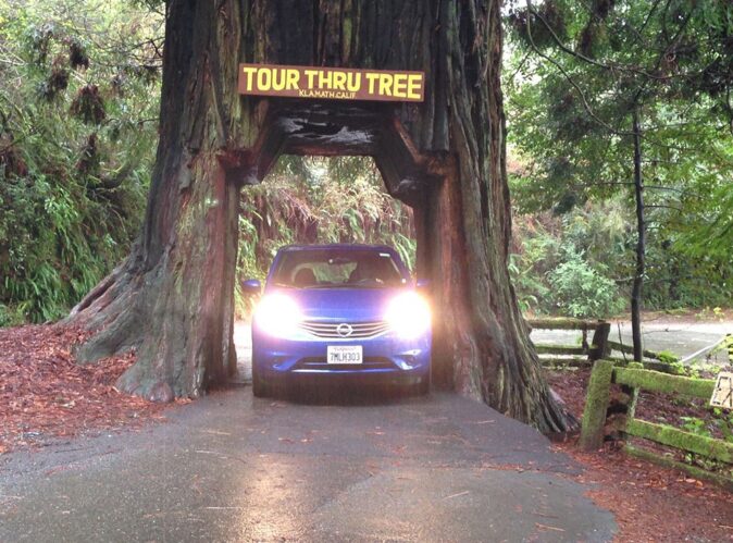 where to find the drive through redwood tree where to find the drive through redwood tree