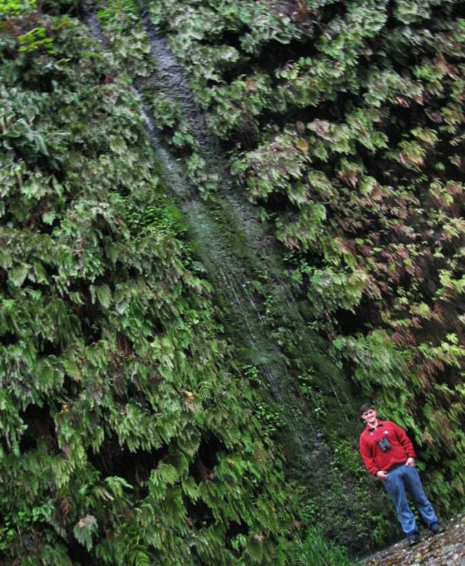Redwood National Park hiking: Fern Canyon Redwood National Park hiking: Fern Canyon