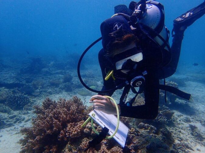 a volunteer at Marine Conservation Philippines a volunteer at Marine Conservation Philippines