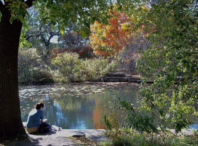 Lily park in the fall Lily park in the fall
