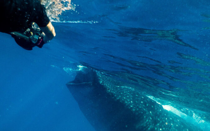 the best time to visit Isla Mujeres