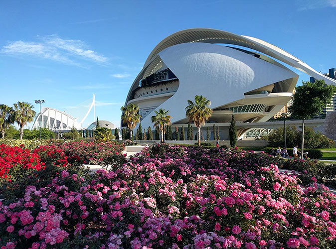 pink and red floweers in a park with futuristic looking buildings in the background