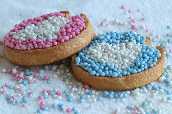 beschuit met muisjes, traditional Dutch food to celebrate newborns beschuit with pink and blue muisjes