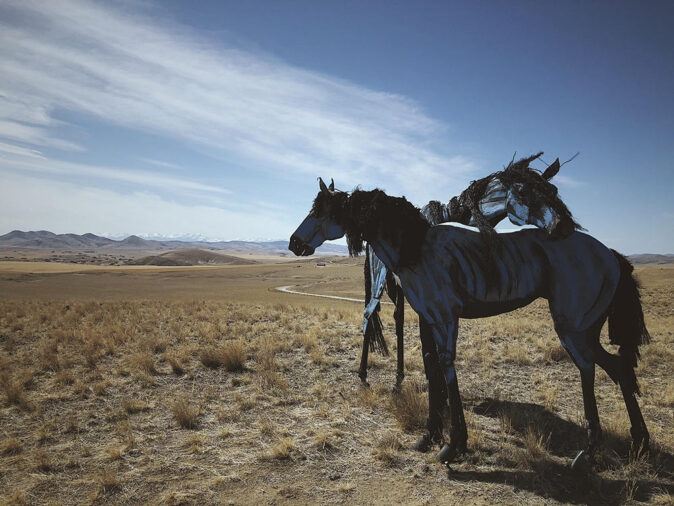 Bleu Horses as a day trip from Helena Bleu Horses