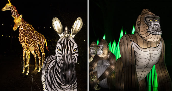The Bronx Zoo in New York during Christmas