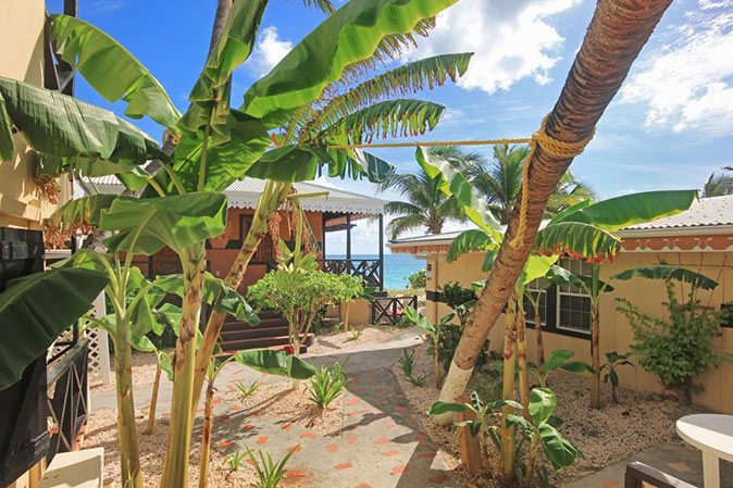 lush vegetation at Mary's Boon hotel in Sint Maarten lush vegetation at Mary's Boon hotel in Sint Maarten