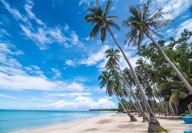 palm trees and white sand at Saud Beach palm trees and white sand at Saud Beach