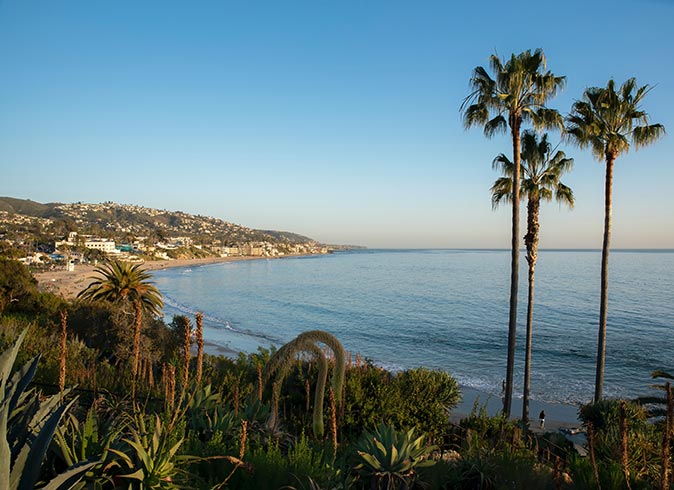 palm trees in the foreground and Laguna Beach in the background