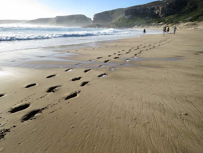 The beach at Plettenberg bay