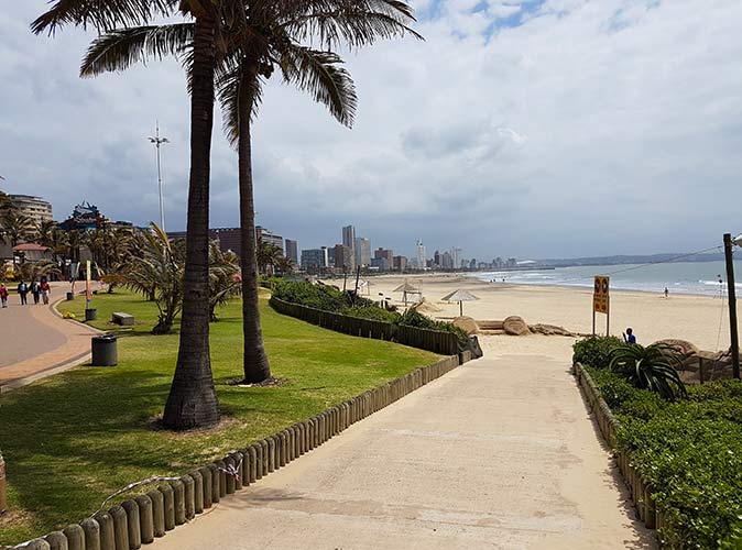 palm trees, the beach and the skyline of Durban