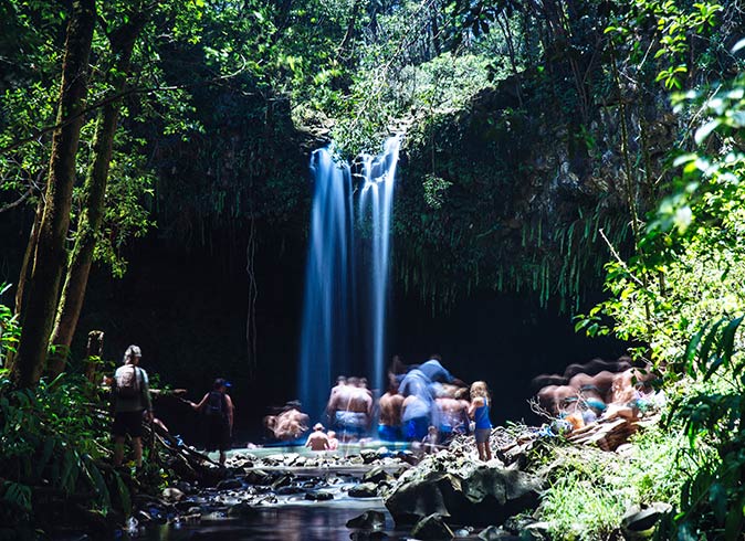several people standing around a waterfall surrounded by greenery