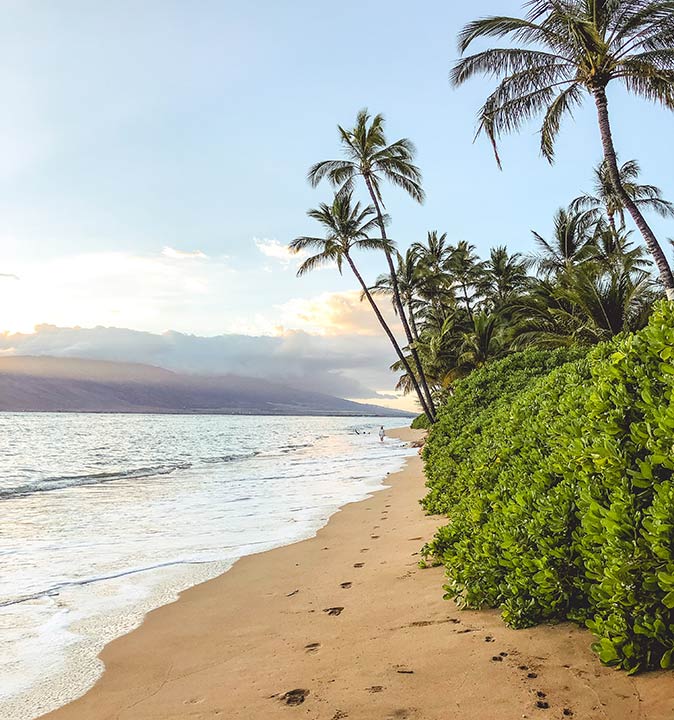 footsteps on an empty sandy beach with palm trees and green bushes