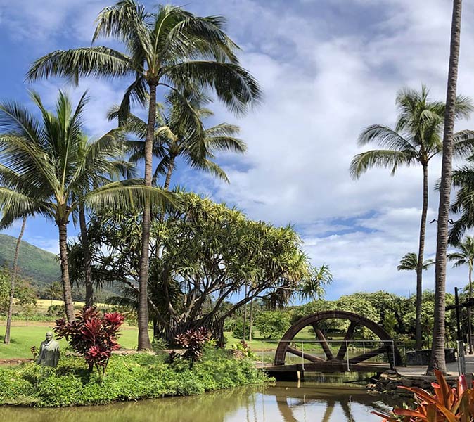 a river with a small bridge running through green lanscape with scattered palm trees
