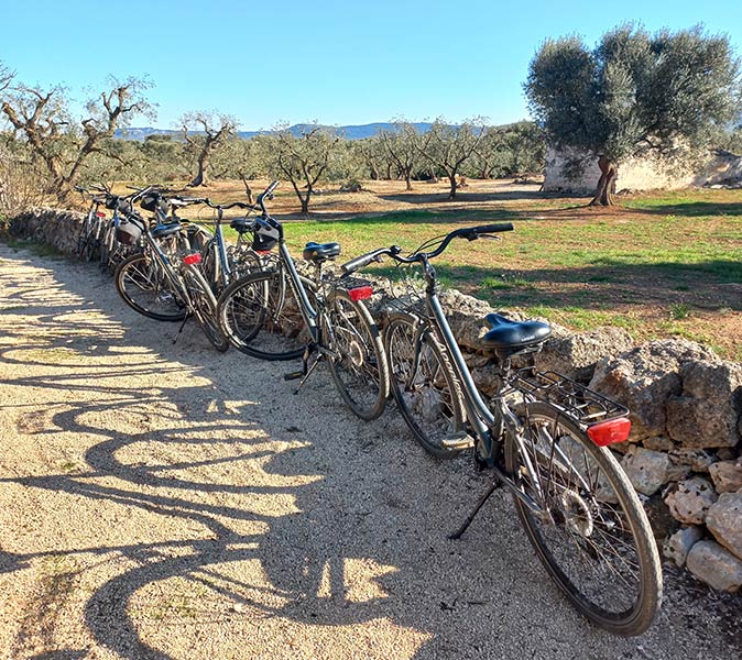 several bikes lined up on a sandy roads with a green field and trees in the background