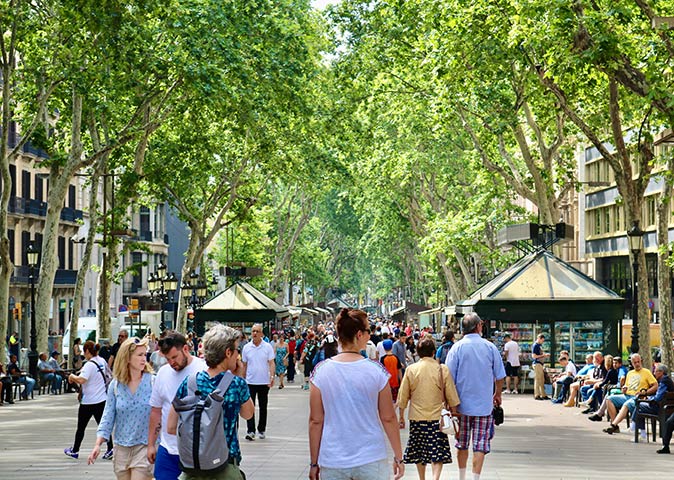 a large number of people walking on a wide, tree lined street